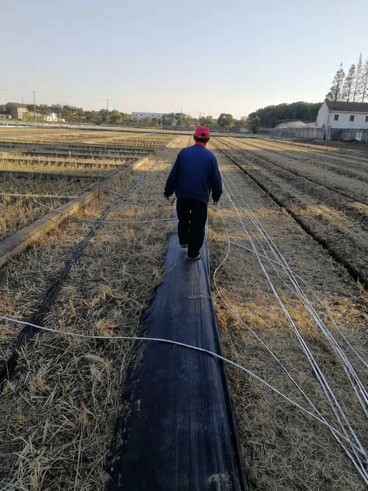 苏州农科院之温室气体通量在线观测系统